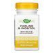 Холін & інозитол Nature's Way (Choline & Inositol) 100 капсул 2022-10-1076 фото 1
