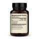 Метилфолат (Methyl Folate) Dr. Mercola, 30 капсул 2023-10-3940 фото 2